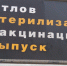Отлов, приют, лечение и стерилизация — только так! - Desnogorsk.Ru