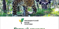 1 апреля стартовал первый конкурс экологических и природоохранных проектов - Десногорская газета