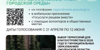 Василий Анохин: Более 44 тыс. смолян уже отдали свои голоса за общественные территории для благоустройства в рамках федеральной программы “Формирование комфортной городской среды” национального проекта “Инфраструктура для жизни” - Десногорская газета